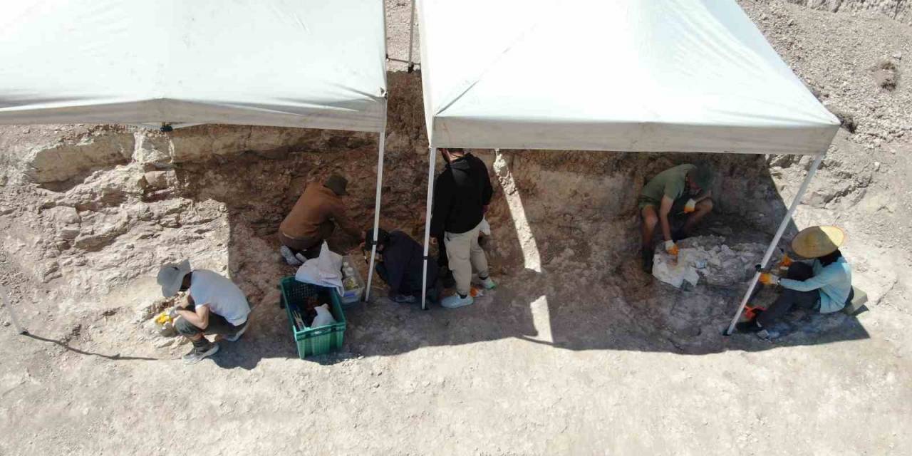 7,5 Milyon Yıllık Kazılarda İnsan Arayışı Devam Ediyor