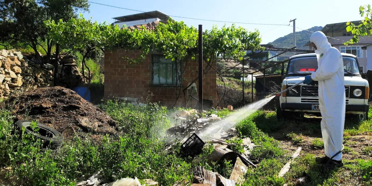 Çine’de Sineklerle Mücadele Aralıksız Sürüyor