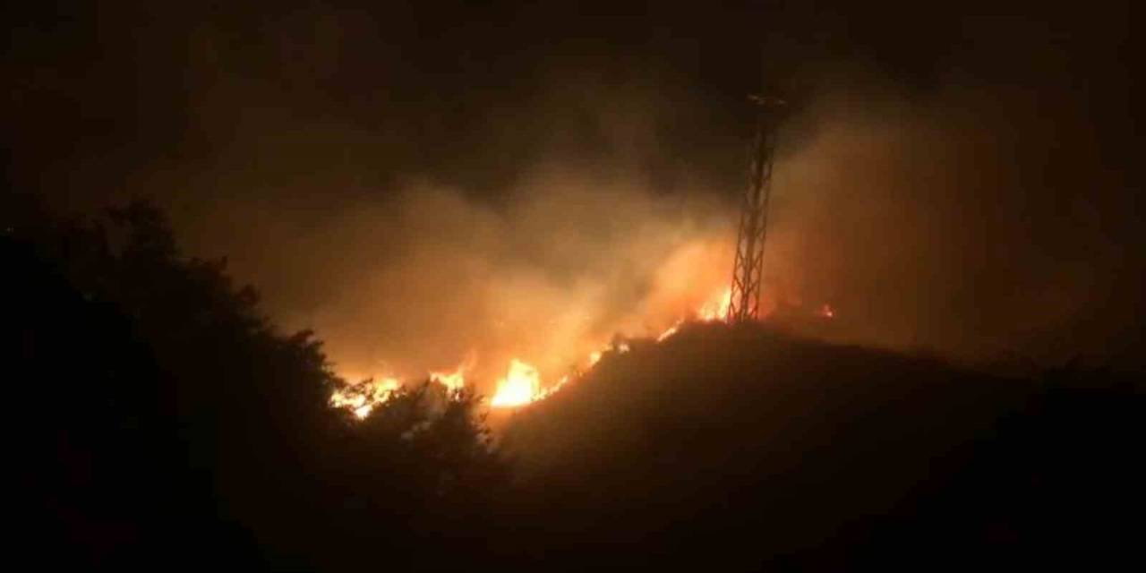 Bingöl’de Orman Yangını