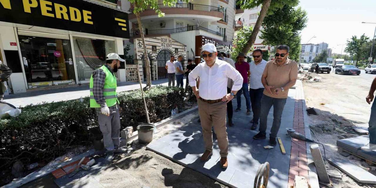 Genel Sekreter Çitfçti, Çalışmaları İnceledi