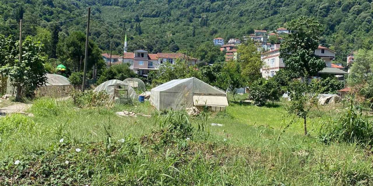 Selden Zarar Gören Tarım Arazileri Havadan Görüntülendi
