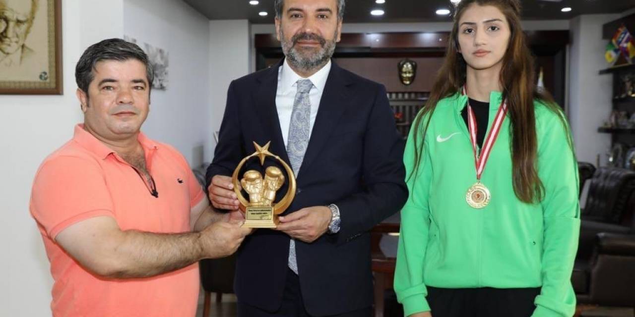 Nisanur, Romanya Yolcusu