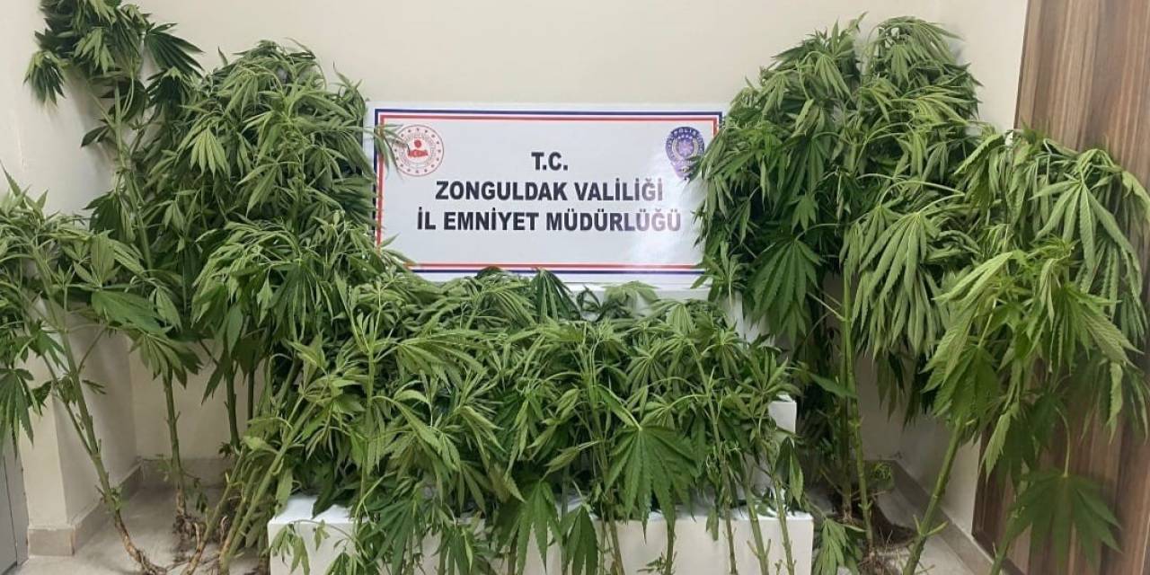 Zonguldak’ta Uyuşturucu Operasyonu; 1 Tutuklu