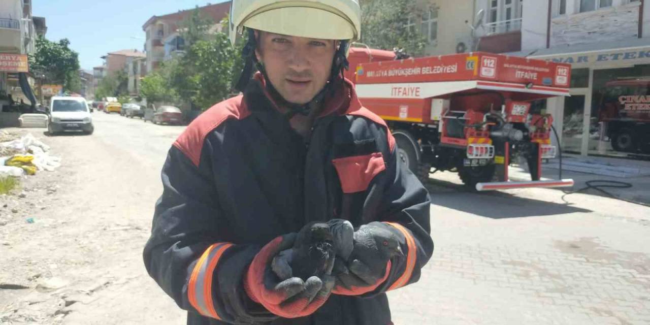 Yangında Etkilenen Güvercinleri İtfaiye Kurtardı