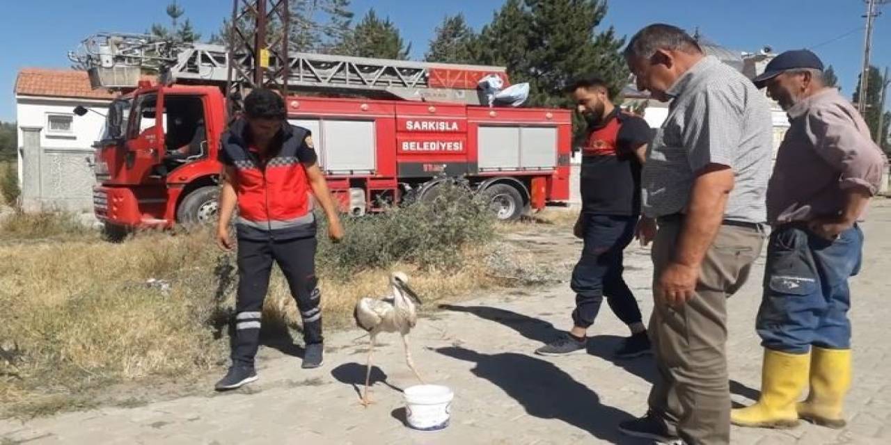 Ayağına İp Dolanan Leyleği İtfaiye Ekipleri Kurtardı
