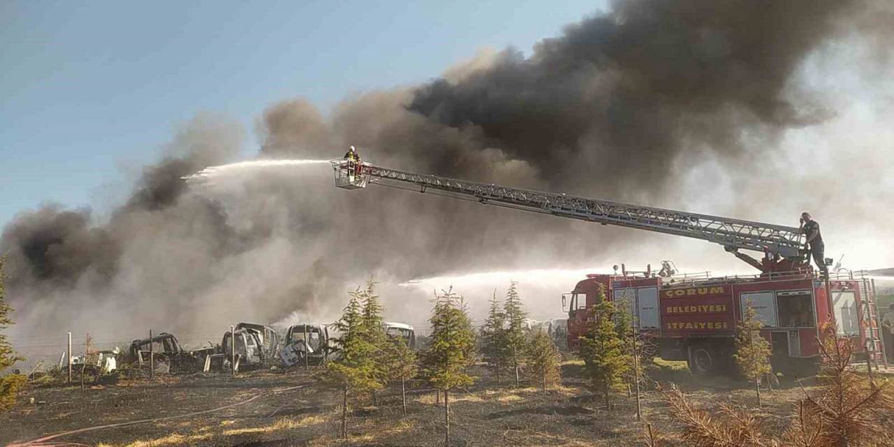 Anız Yangını Hurdalığa Sıçradı, Otomobiller Küle Döndü