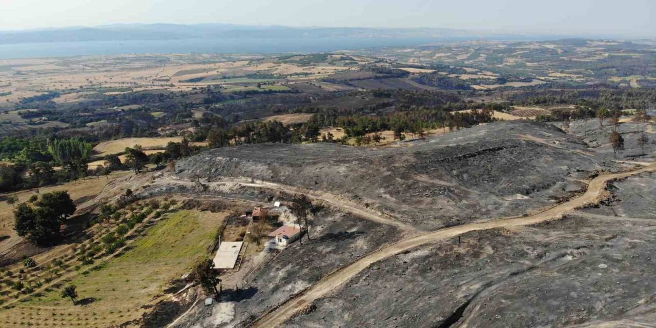 Çanakkale’deki Orman Yangını 52 Saat Sonra Kontrol Altına Alındı