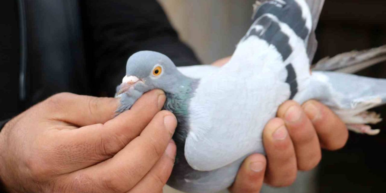 Vazgeçilmeyen Bir Tutku, Saatlerce Yanlarında Bekliyorlar