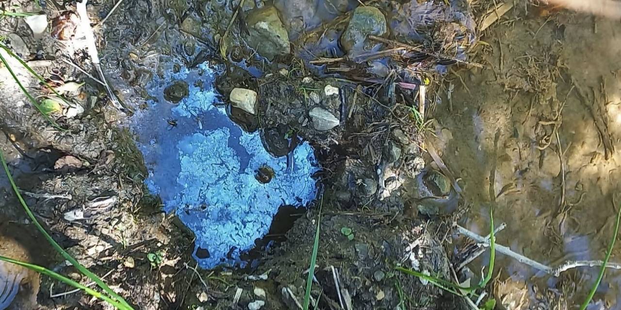 Bayburt’taki Petrol Sızıntılarını İncelediler, Petrolün Yüzeye Çıkarılması İçin Çalışma Başlatılmasını İstediler