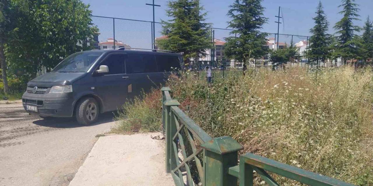 Bakımsızlıktan Uzayan Yabani Otlar Endişe Kaynağı