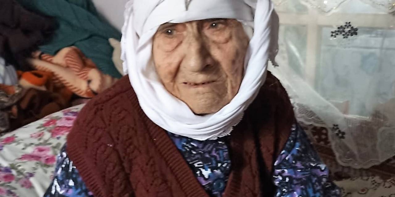 3 Padişah, 12 Cumhurbaşkanı Gören Asırlık Çınar Hayatını Kaybetti