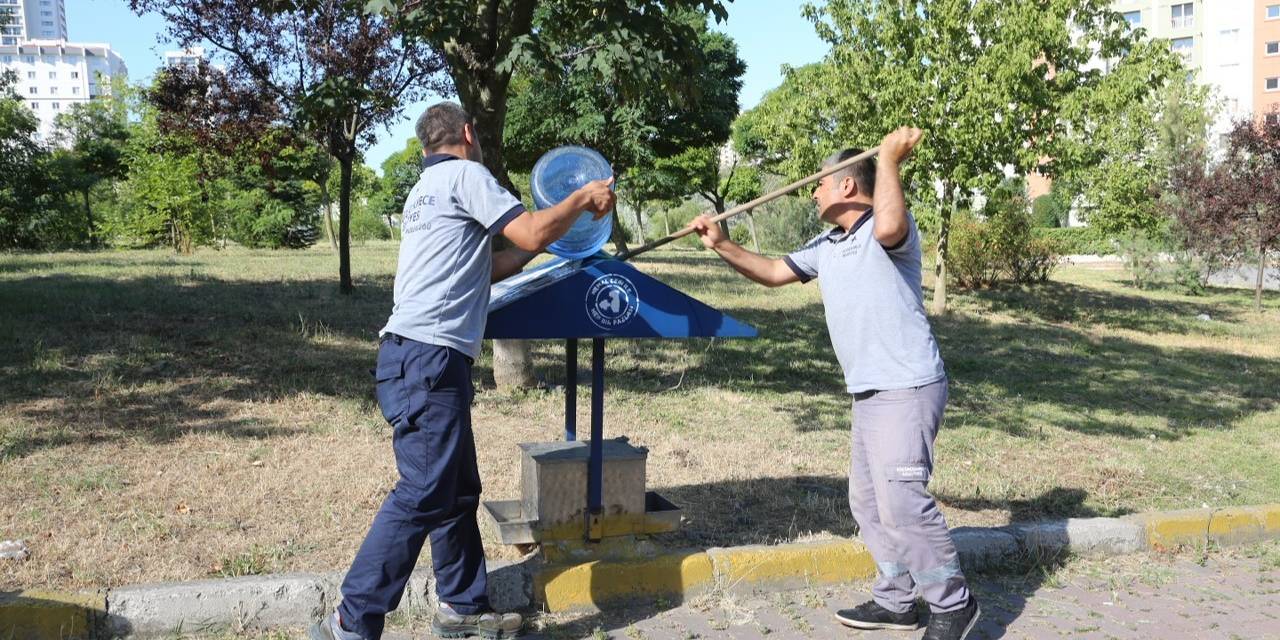 Küçükçekmece’de Sokak Hayvanları Bunaltıcı Sıcaklarda Da Yalnız Bırakılmadı