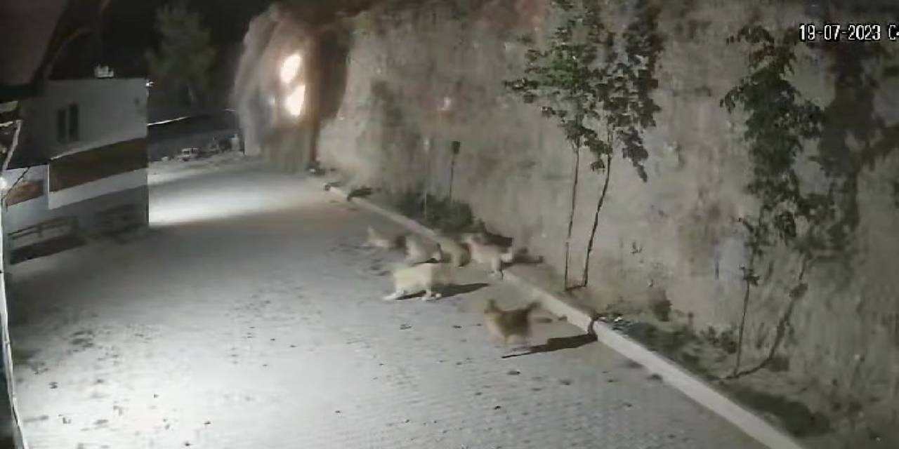 2 Kişiye Mezar Olan Otomobil Uçurumdan Böyle Düştü