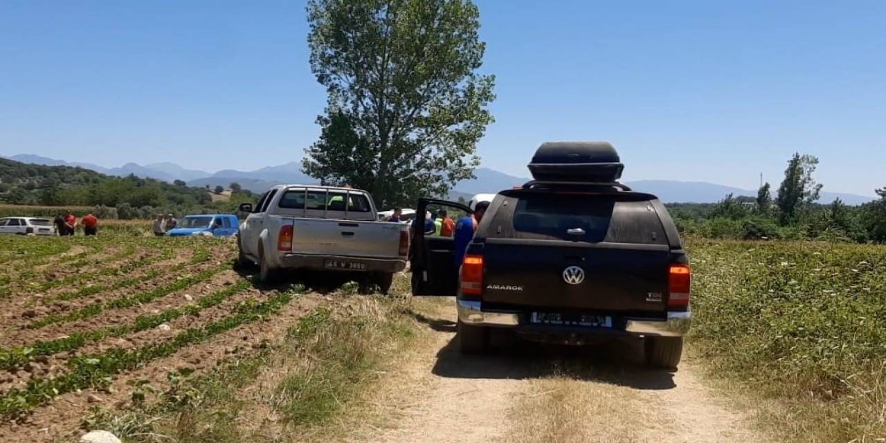 Kayıp Yaşlı Kadın Mısır Tarlasında Ölü Olarak Bulundu
