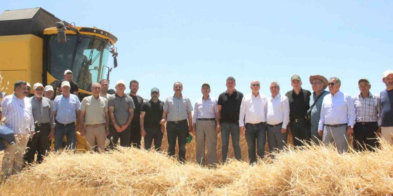 Karaman’da Alicantus Ekmeklik Buğdayın Hasadı Yapıldı