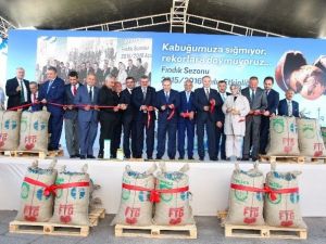 Yeni Sezon Fındık İhracatı Akçakoca’da Şenlikle Start Aldı