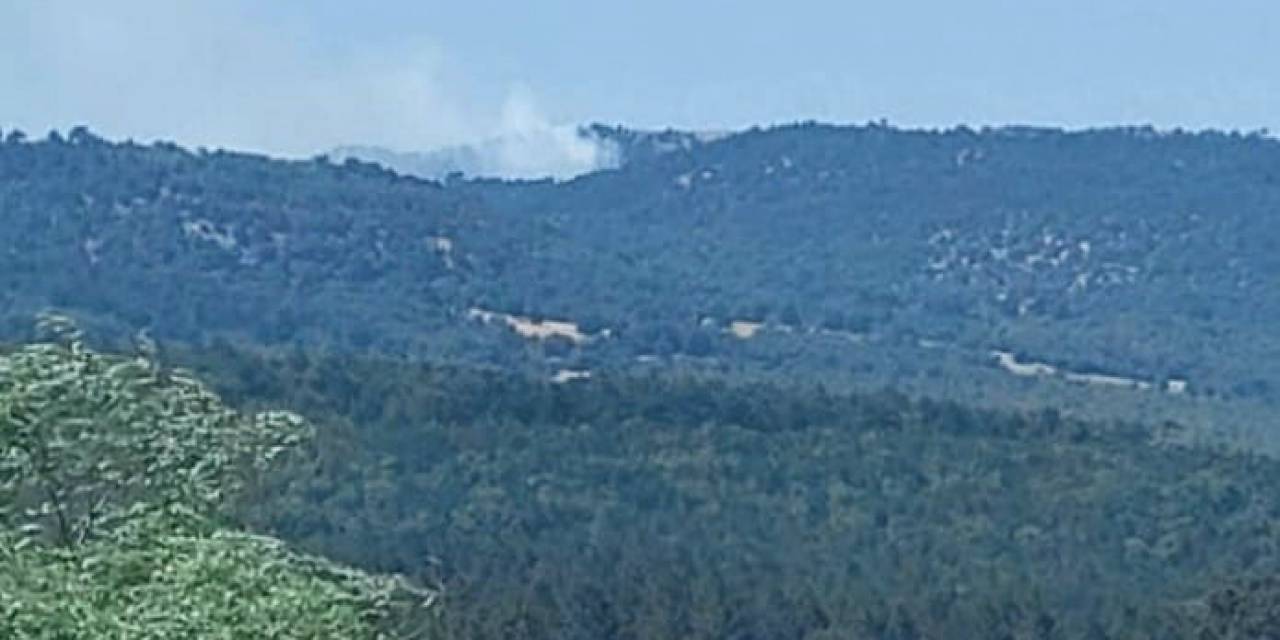 Kütahya’da Orman Yangını