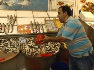 Av Sezonunun Açılmasıyla Birlikte Balık Fiyatları Düştü