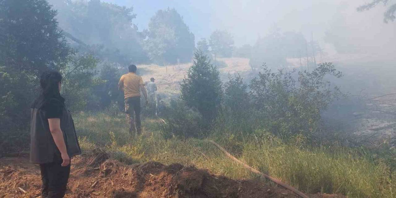 Kütahya’da Çıkan Orman Yangını Kontrol Altına Alındı
