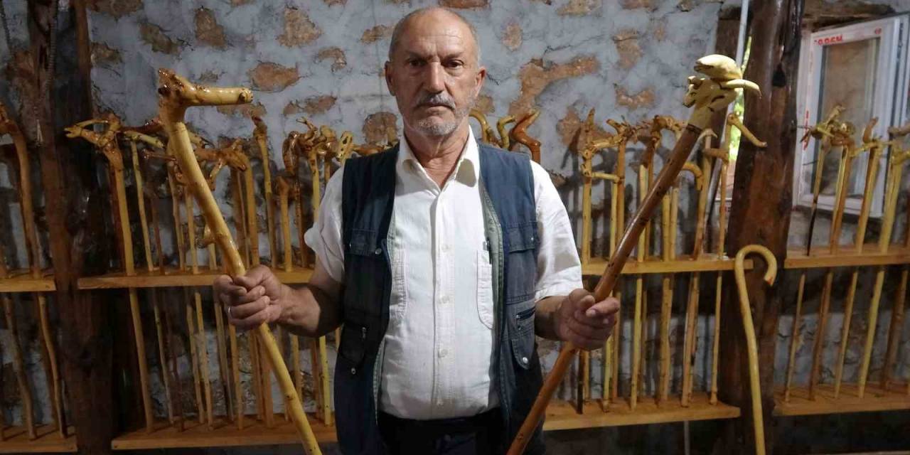 Kurumuş Ağaç Dallarını Ve Köklerini Sanat Eserine Dönüştürüyor