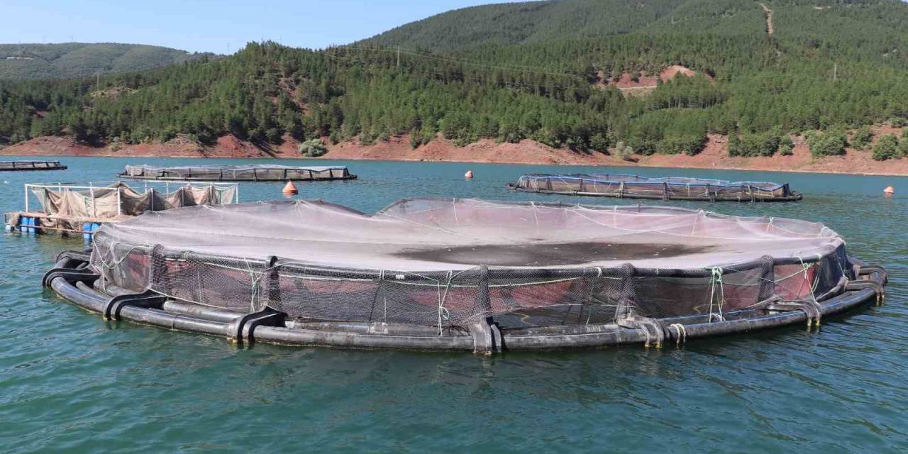 Denizi Olamayan Kentten Japonya Ve Rusya’ya Somon İhracatı