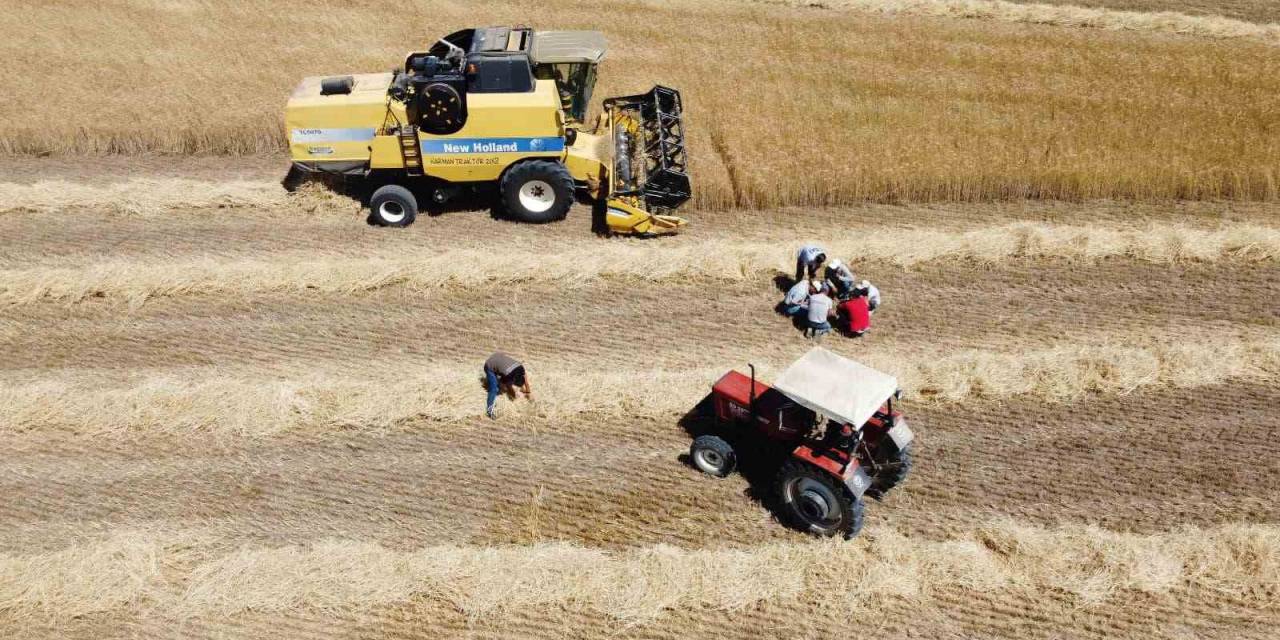 Afyonkarahisar’da Biçerdöverler Kontrol Ediliyor