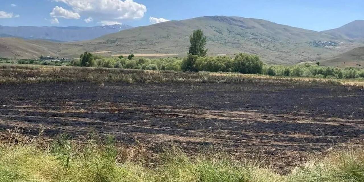 Ekili 10 Dekar Tarla Küle Döndü