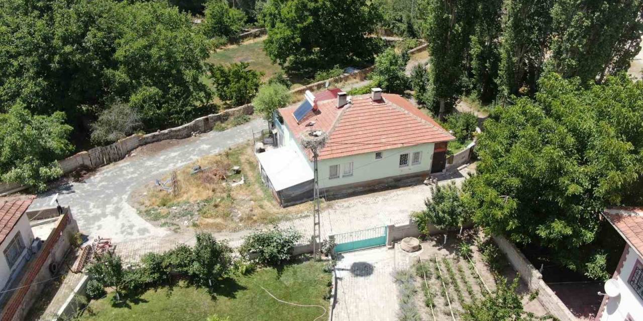 Gözlerindeki Bozukluk Engel Olmadı, Direkteki Leyleklere Dürbünle Bakıyor