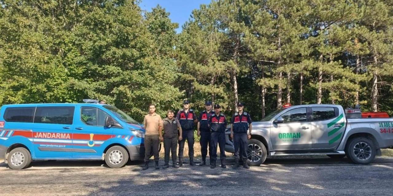 Ormanlara Sıkı Koruma