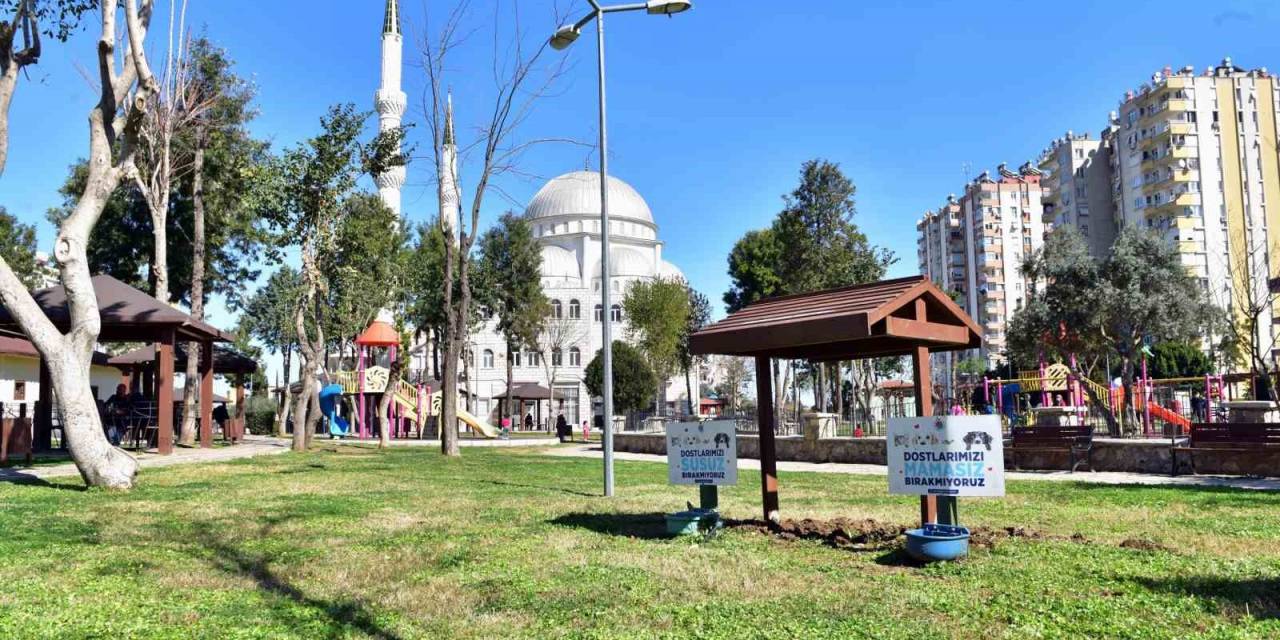 Kepez, Sıcak Havalarda Can Dostları Unutmadı