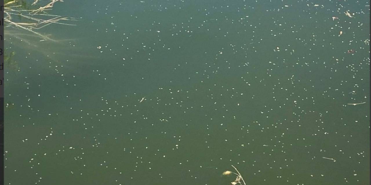 Sivrisineklere Drone İle Havadan Çözüm