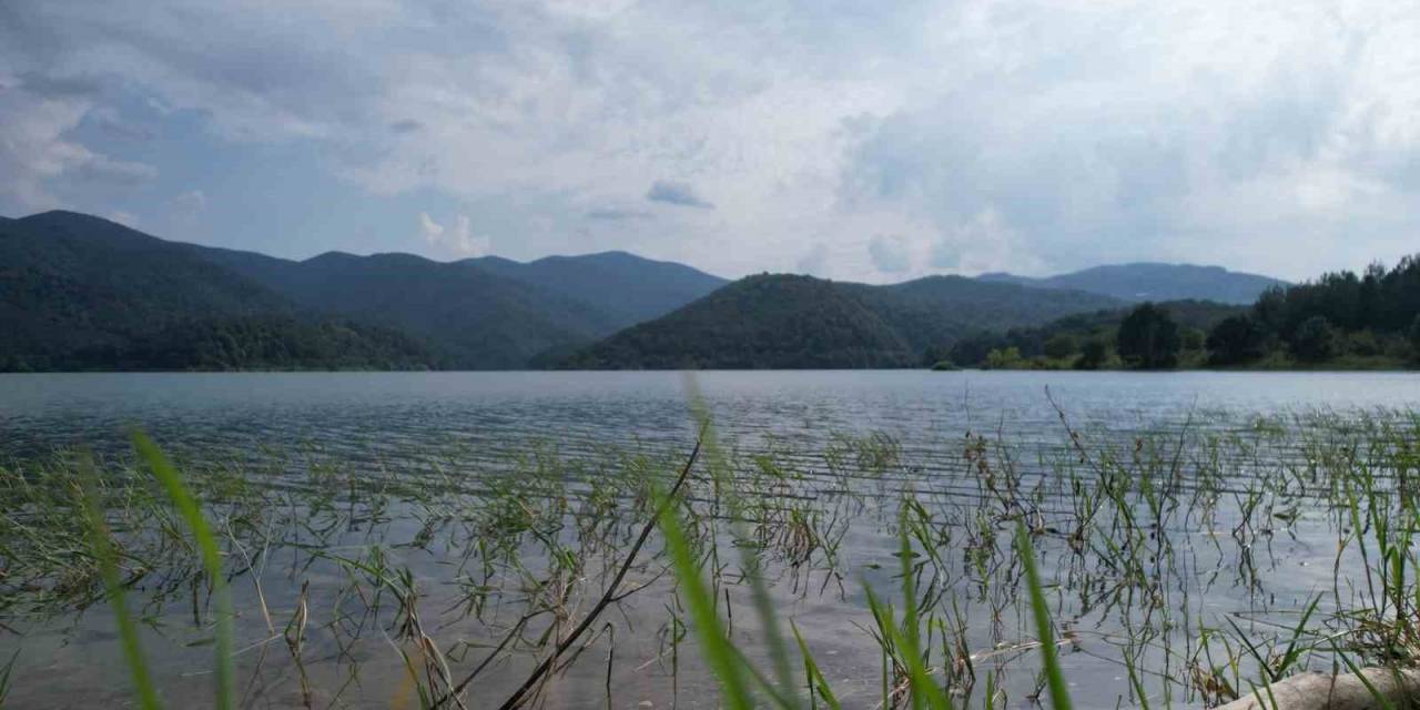 Yalova’nın İçme Suyu Barajındaki Yüzde 88 Doluluk Sevindirdi