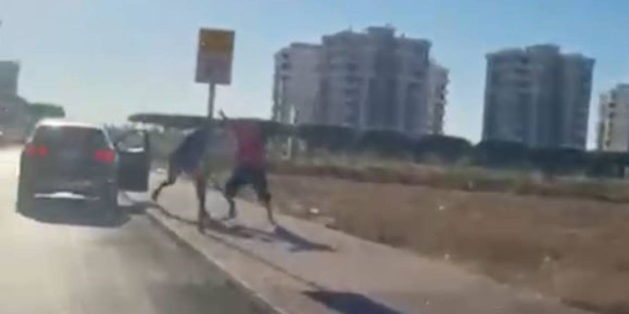 Survivor Hikmet, Başcazgırı Sokak Ortasında Sopayla Darp Etti