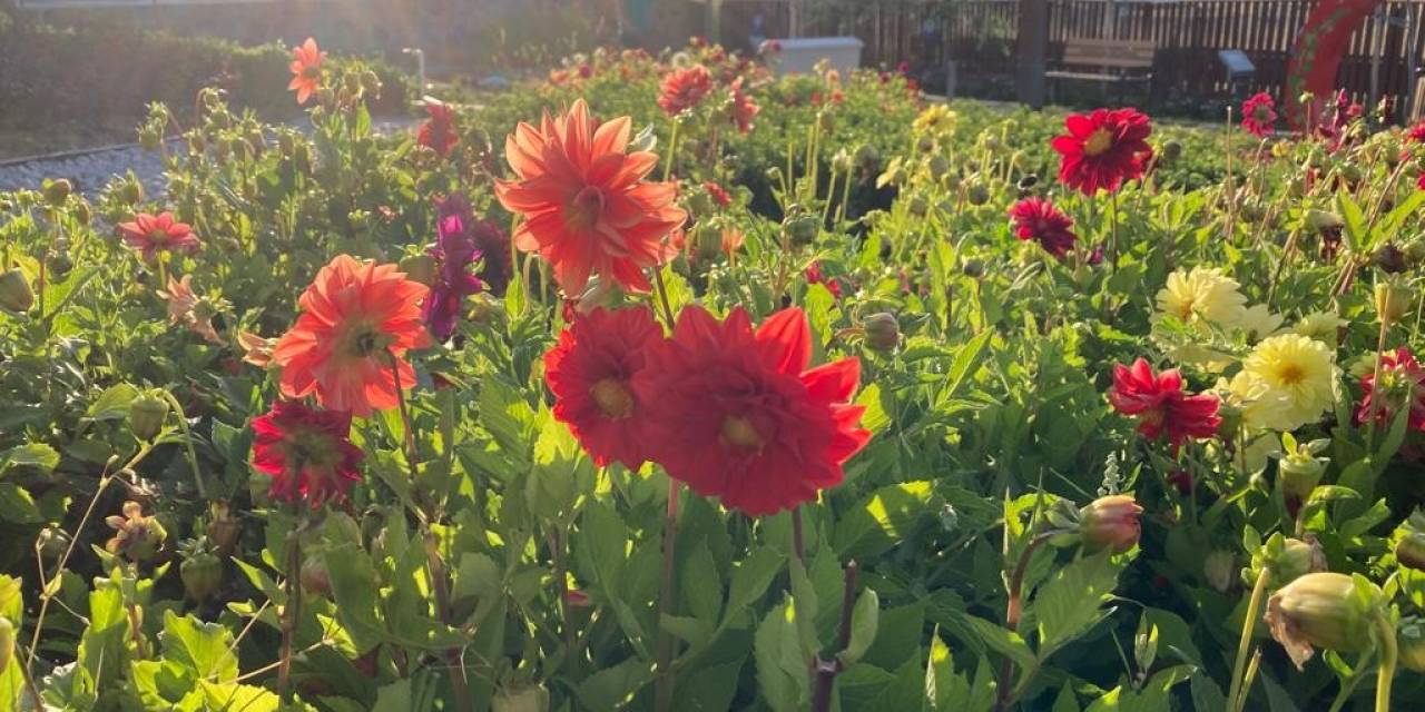 Endemik Vadiyi Yabancı Öğrenciler Ziyaret Etti