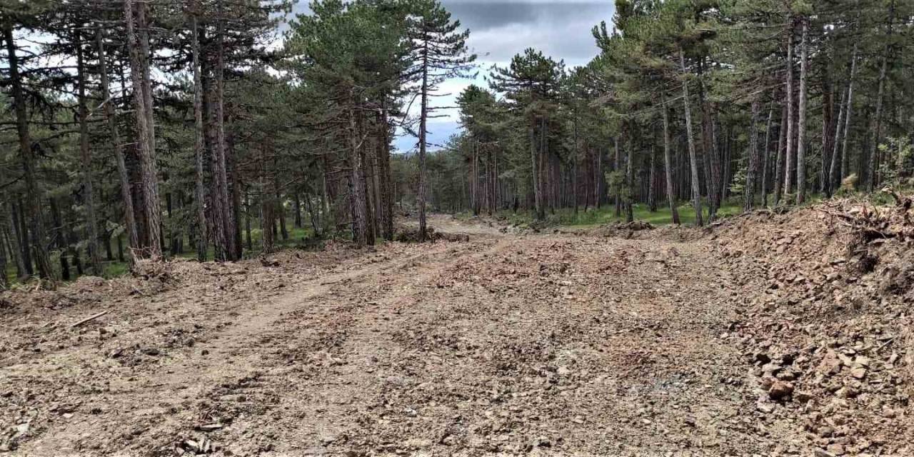 Kütahya’da Yangınlarıyla Mücadelede Yeni Savunma Hatları Oluşturuluyor