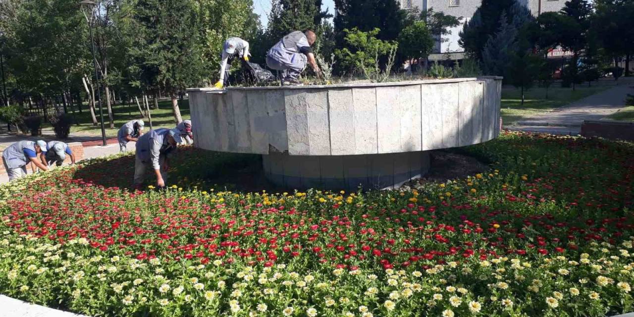 Sincan’da Park Ve Bahçeler Çiçeklendi