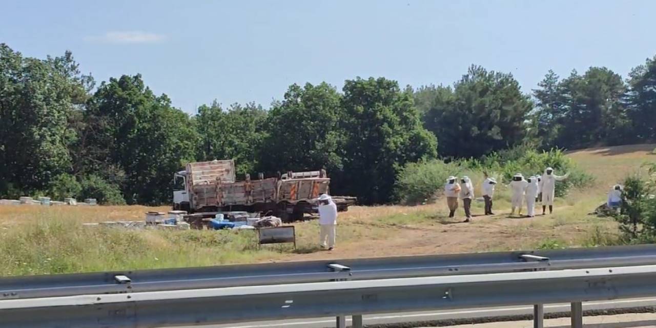 Ekipler 4 Ölümlü Kazaya Arıcı Kıyafeti Giyerek Müdahale Etti