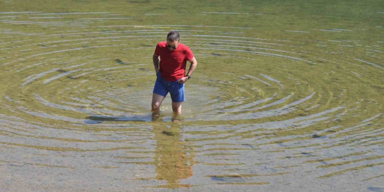 Sıcaktan Bunalanların Adresi Doğa Harikası Abant Oldu