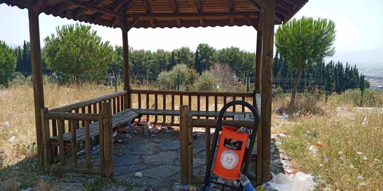 Adü’deki Kamelyalar Mikrop Yuvası Oldu