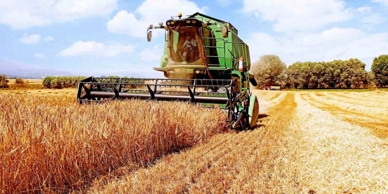Bolu’da Hasat Dönemi Arpa İle Başladı