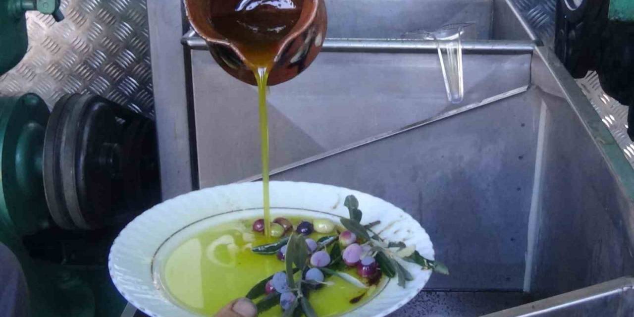 Edremit Zeytinyağı Avrupa Birliği’nden Coğrafi İşaret Tescilini Aldı