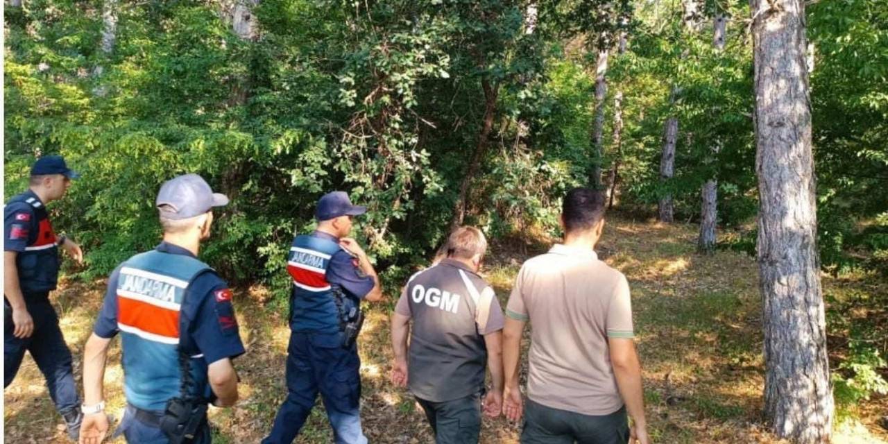 Ormanlar 7/24 Gözetim Altında