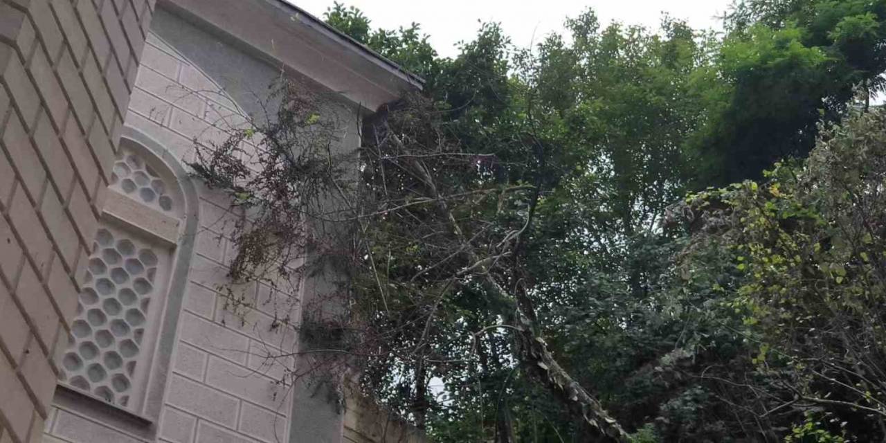 Giresun’da Heyelan Riski Altındaki Binalar Boşaltılıyor