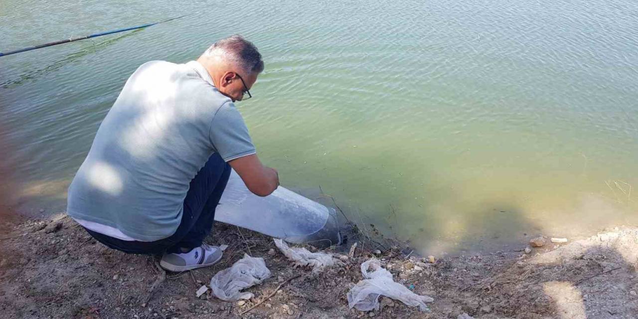 Buldan’da 50 Bin Balık Suya Bırakıldı