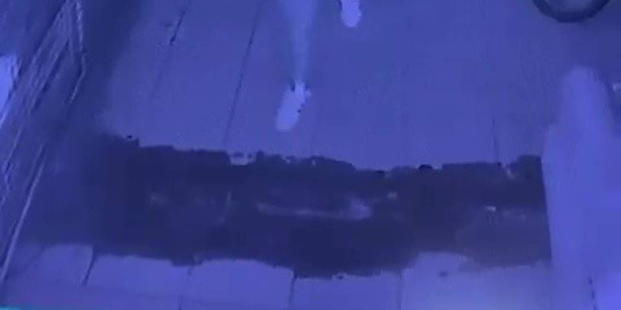 Hırsızın Rahat Tavırları Dikkat Çekti