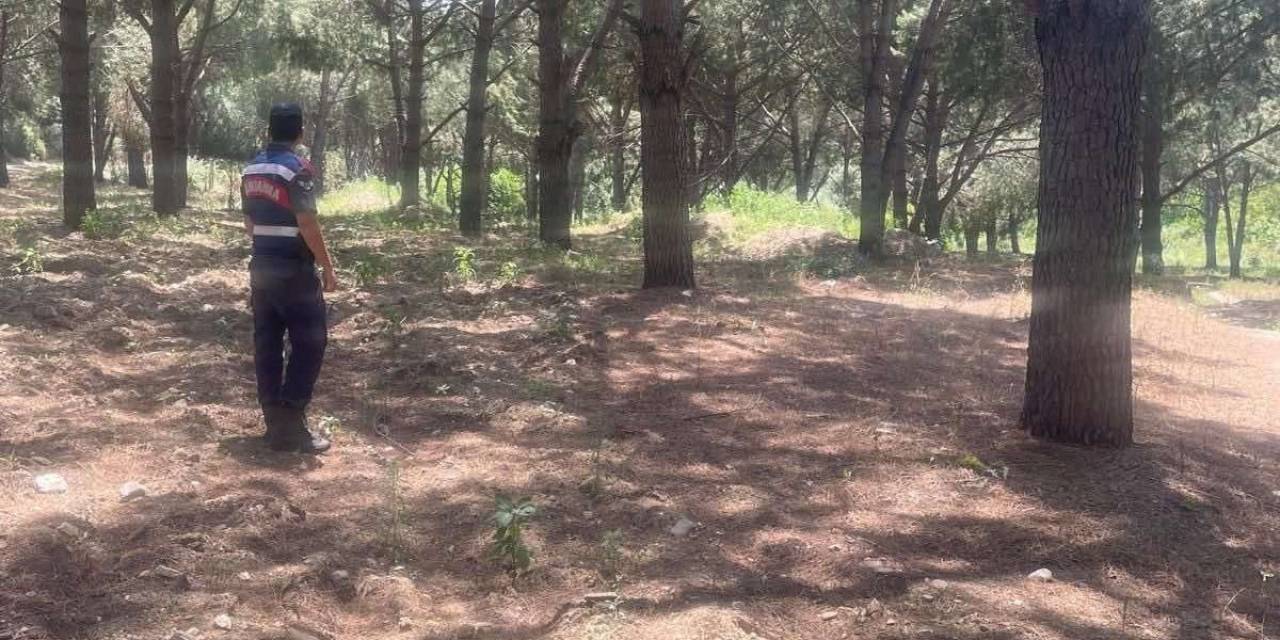 Jandarma Ekipleri Orman Yangınlarına Karşı Teyakkuzda