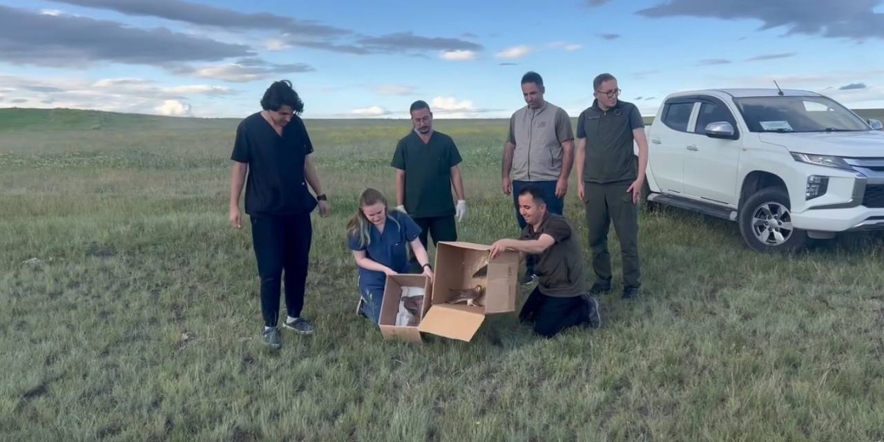 Kars’ta Kerkenezler Doğaya Bırakıldı