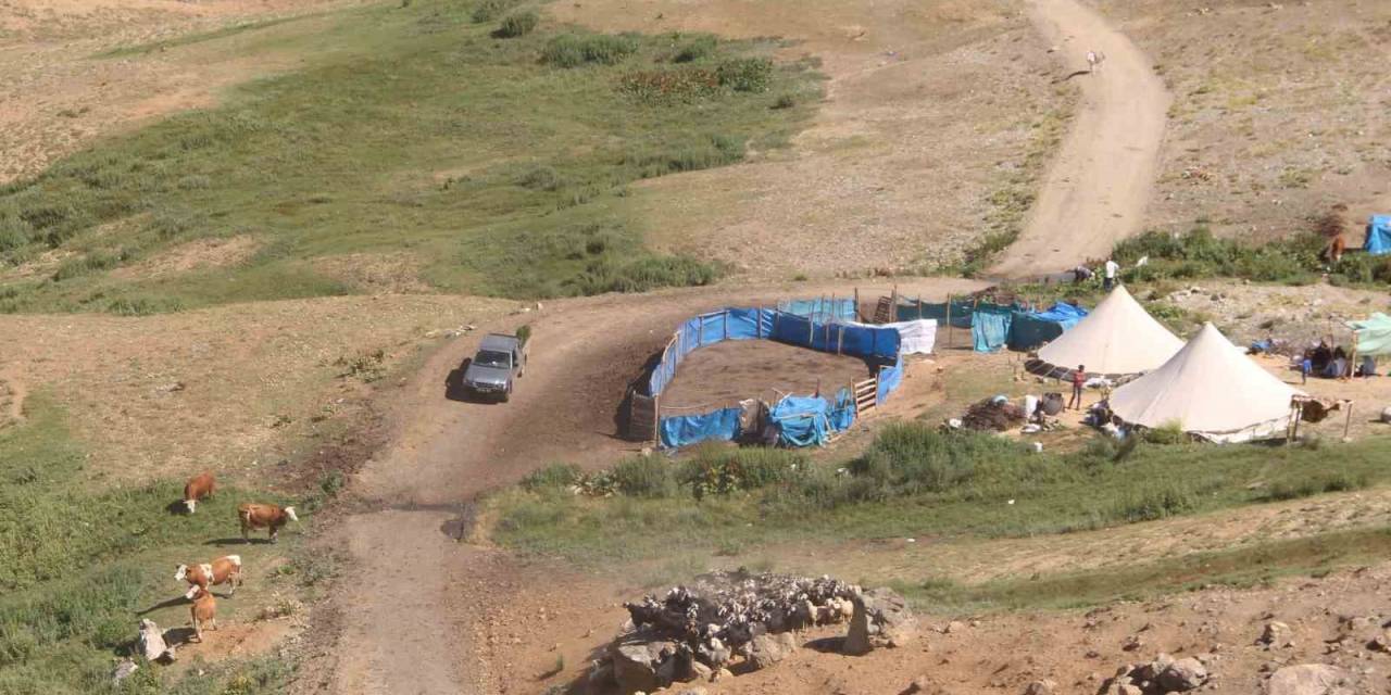 2 Bin 500 Rakımlı Dağın Zirvesinde Soğuk Su Etrafında Yetişiyor, Yemek Ve Çökelekleri Tatlandırıyor