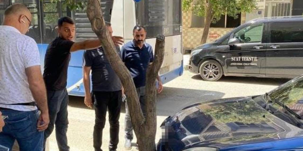 Yolcu Otobüsü İle Otomobil Çarpıştı: 1 Yaralı