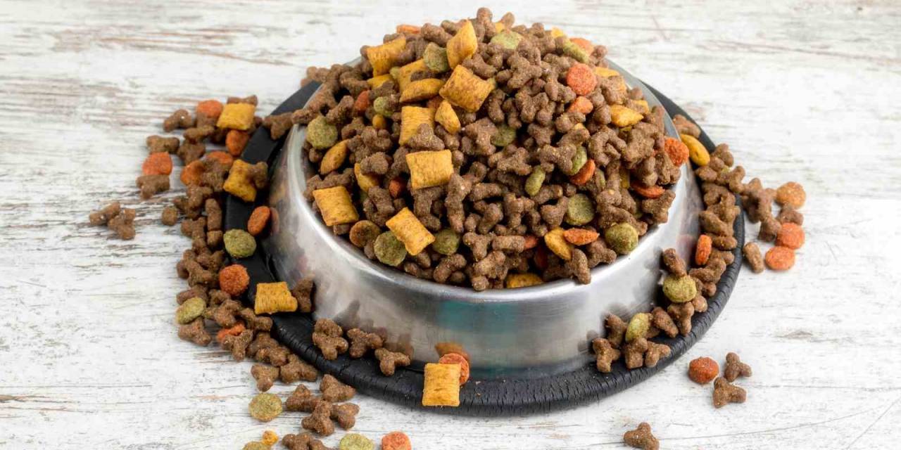 Türkiye’nin Kedi-köpek Maması İhracatında Yüzde 64’lük Artış